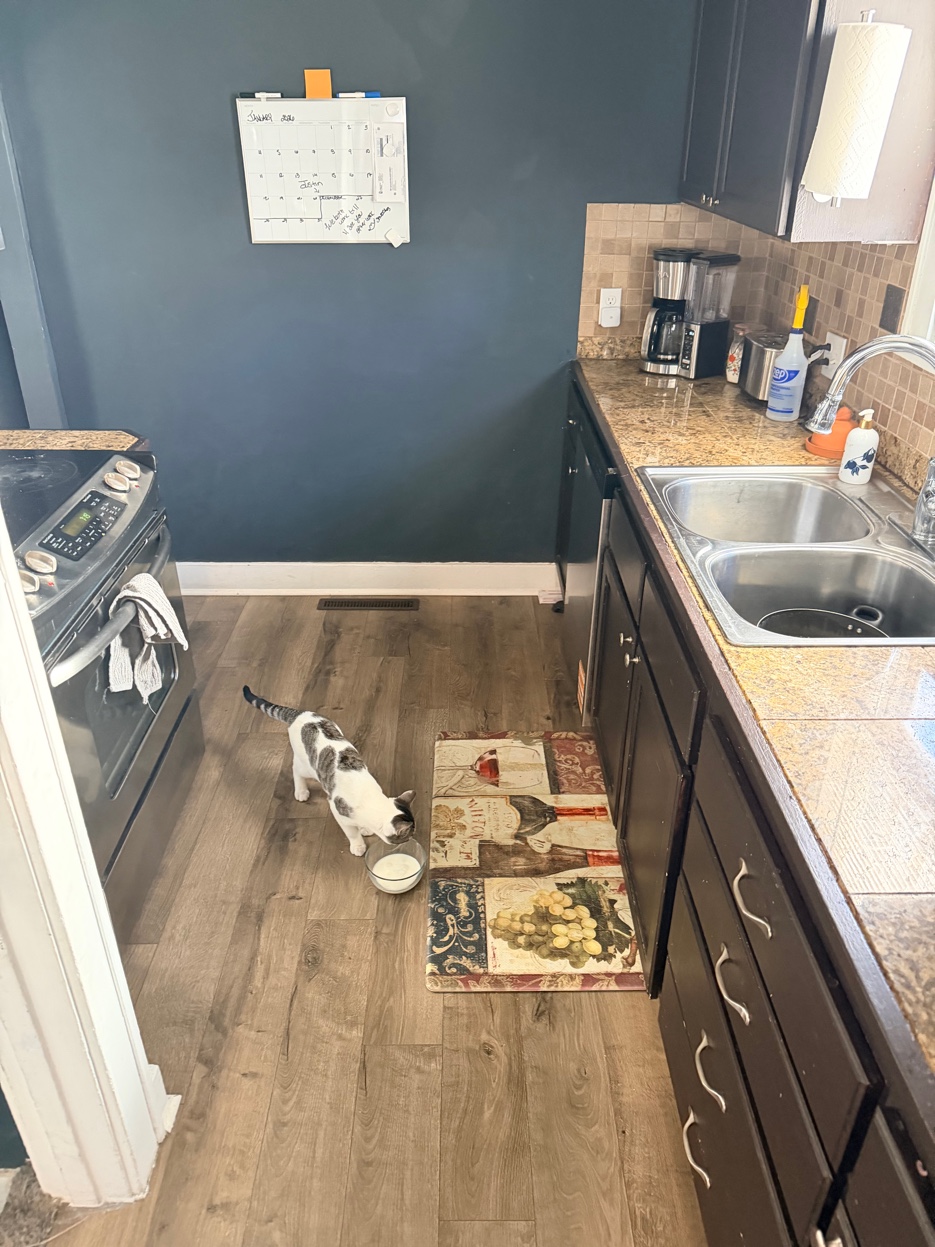 Crime scene photo 2 — the pot in the sink